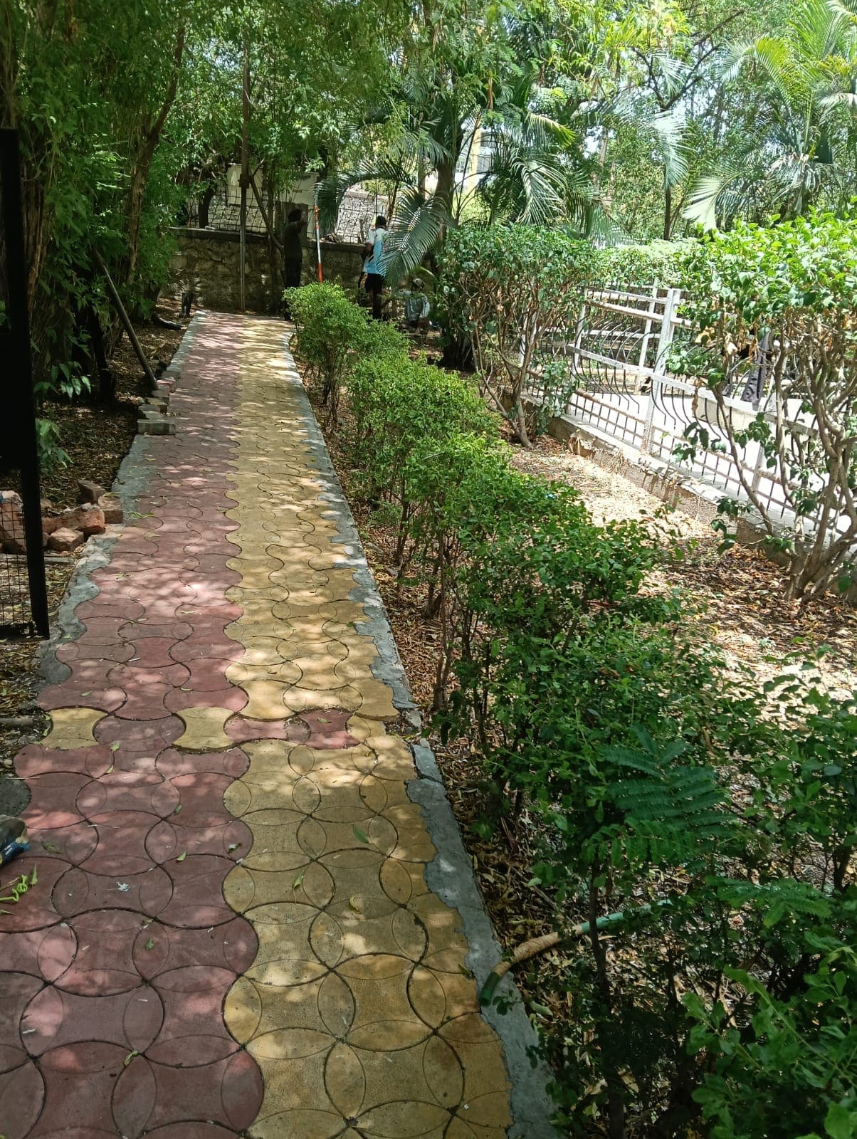 Drainage Infrastructure Cleanup